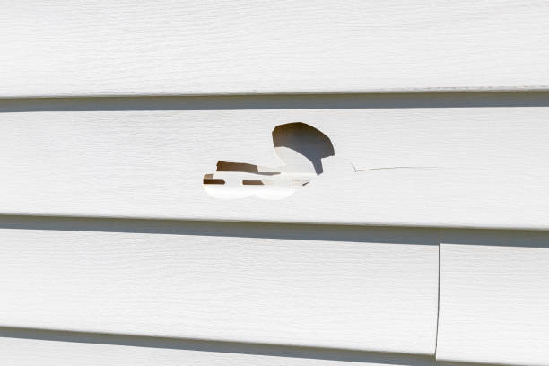 Best Fiber Cement Siding Installation  in Edgewood, MD